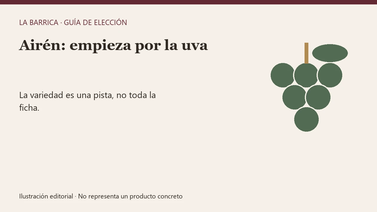 Ilustración de un racimo de uvas blancas junto al nombre Airén.